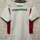 thumbnail image 2 of Camiseta de rugby Gales 2024-25 Camiseta de rugby local y visitante Camiseta de rugby Camiseta de manga corta para hombre, 2 of 5