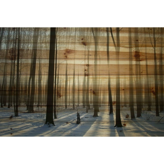 Parvez Taj Printed Fine Art Art Prints