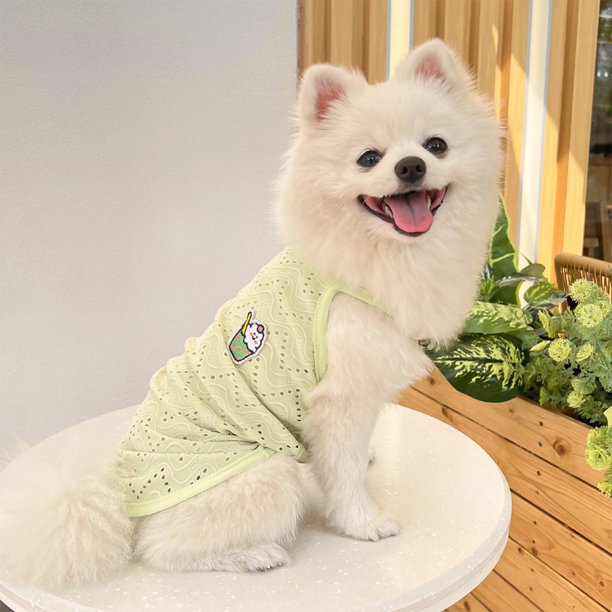 Chalecos de seda de hielo de verano para perros y gatos pequeños y medianos, ropa para perros con protección solar, ropa para mascotas.