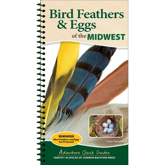 Adventure Quick Guides Bird Feathers & Eggs of the Midwest: Identify 40 Species of Common Backyard Birds, (Spiral-Bound)