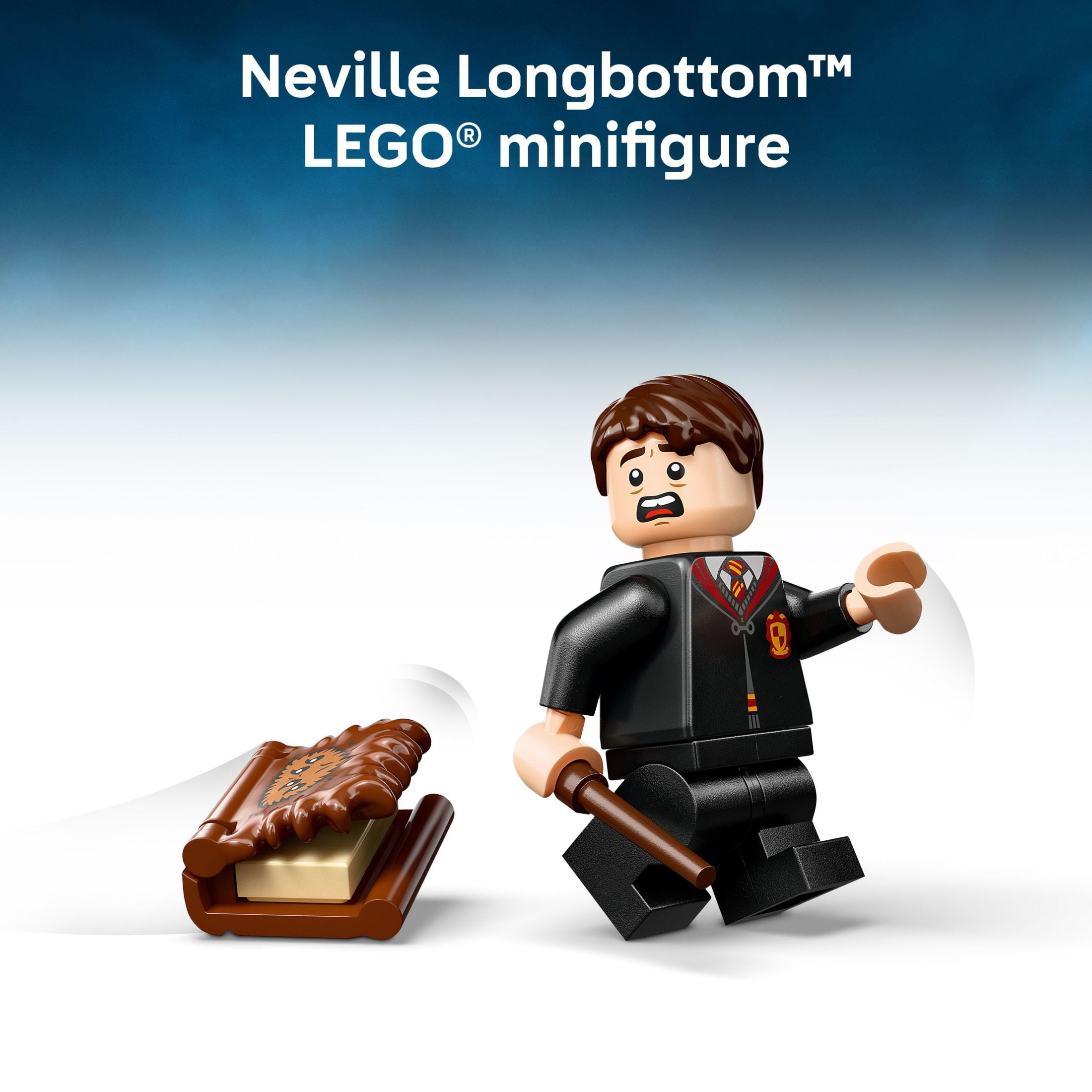 LEGO Harry Potter 76449 Chomping Monster Book of Monsters Toy with Neville  Longbottom Minifigure - Walmart.com