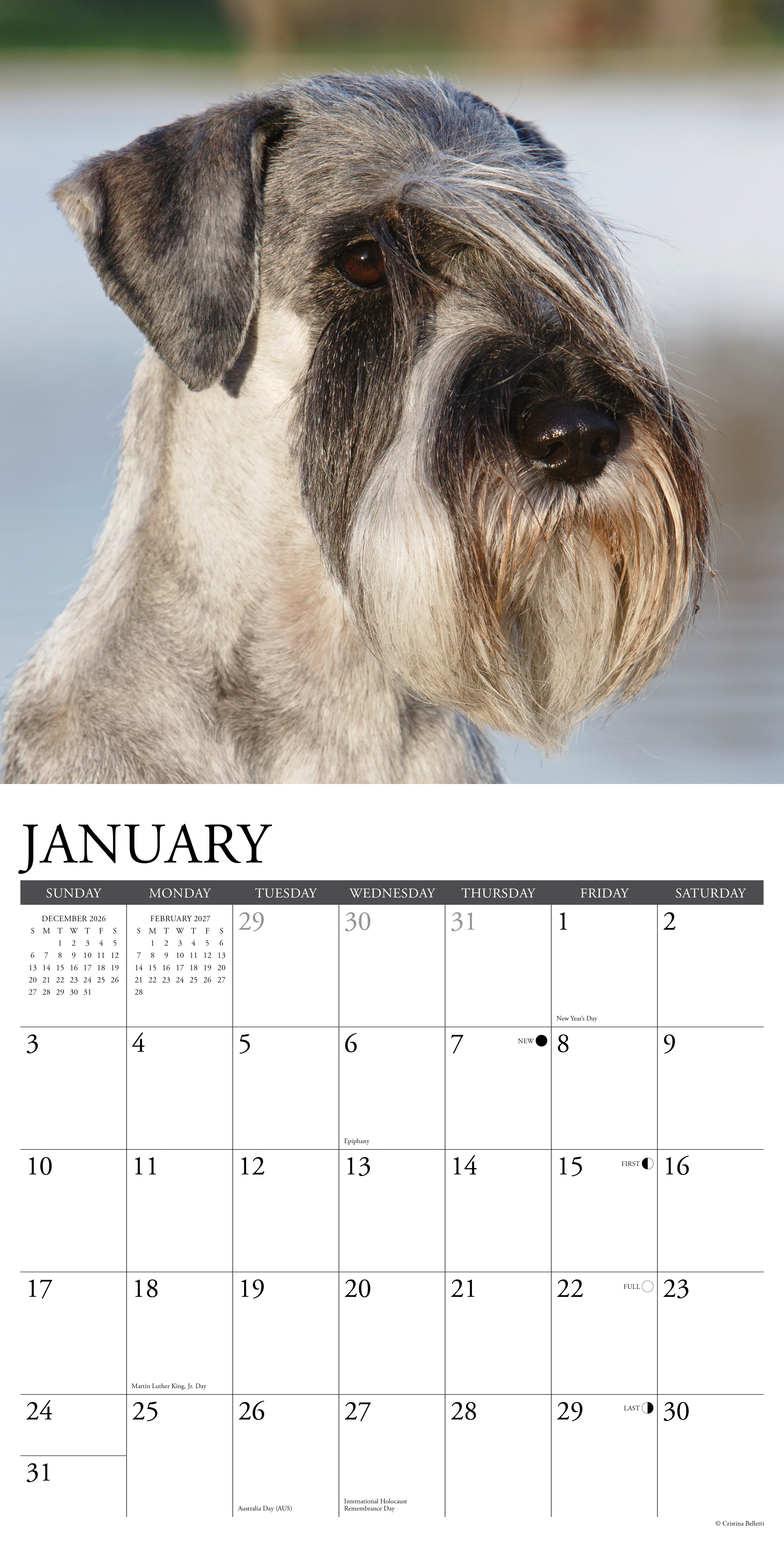 Willow Creek Press, Schnauzers 2027 Wall Calendar