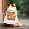 thumbnail image 4 of Flmtop Dog Clothes Breathable Super Soft Polyester Comfy Pet Dog Clothes for Decor #1, 4 of 9