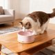 thumbnail image 4 of Cuenco De Cerámica Para Mascotas 1 Set Thermostatic Ceramic Pet Water Bowl with USB Heating for Winter Use Intelligent Constant Temperature Control & Spill-Proof Design 4.8x2.24" JASKFLY, 4 of 8