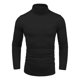 thumbnail image 3 of Playera Slim Fit Caballero Hombre Cuello Tortuga Camisa Perf, 3 of 5