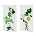 thumbnail image 2 of A&B Home Magnolia Blooms Wall Art, Set of 2, 2 of 3