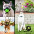 thumbnail image 3 of Pelota para perros Hyper Pet DuraSqueak Interactive Floats Squeaks, 3 of 8