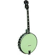 Gold Tone 4 String Irish Tenor Banjo w/ Gig Bag