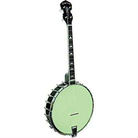 Gold Tone 4 String Irish Tenor Banjo w/ Gig Bag