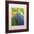 thumbnail image 2 of Trademark Fine Art "Rainbow Eucalyptus Tree" Canvas Art by CATeyes, White Matte, Wood Frame, 2 of 4