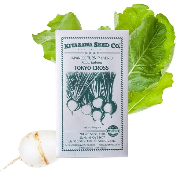 Turnip Seeds - Tokyo Cross - Hybrid -1 g Packet ~324 Seeds - Non-GMO, F1 Hybrid - Asian Garden Vegetable