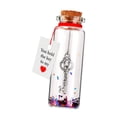 thumbnail image 2 of Regalos en frasco para el Día de San Valentín: Llave de mi corazón, botella de deseos para ella, regalo romántico 1 pieza, 2 of 9