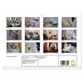 thumbnail image 2 of Colourpoint cats (Monthly Wall Calendar 2026 16.5 x 23.4 (open)), CALVENDO 14 Month Calendar, 2 of 9