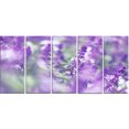 thumbnail image 2 of Beautiful Purple Mint Flowers - Large Flower Canvas Wall Art, 2 of 3