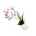 thumbnail image 1 of Bonsái artificial Monstrate no tóxico e hipoalergénico para gatos y perros BF2312089, 1 of 6