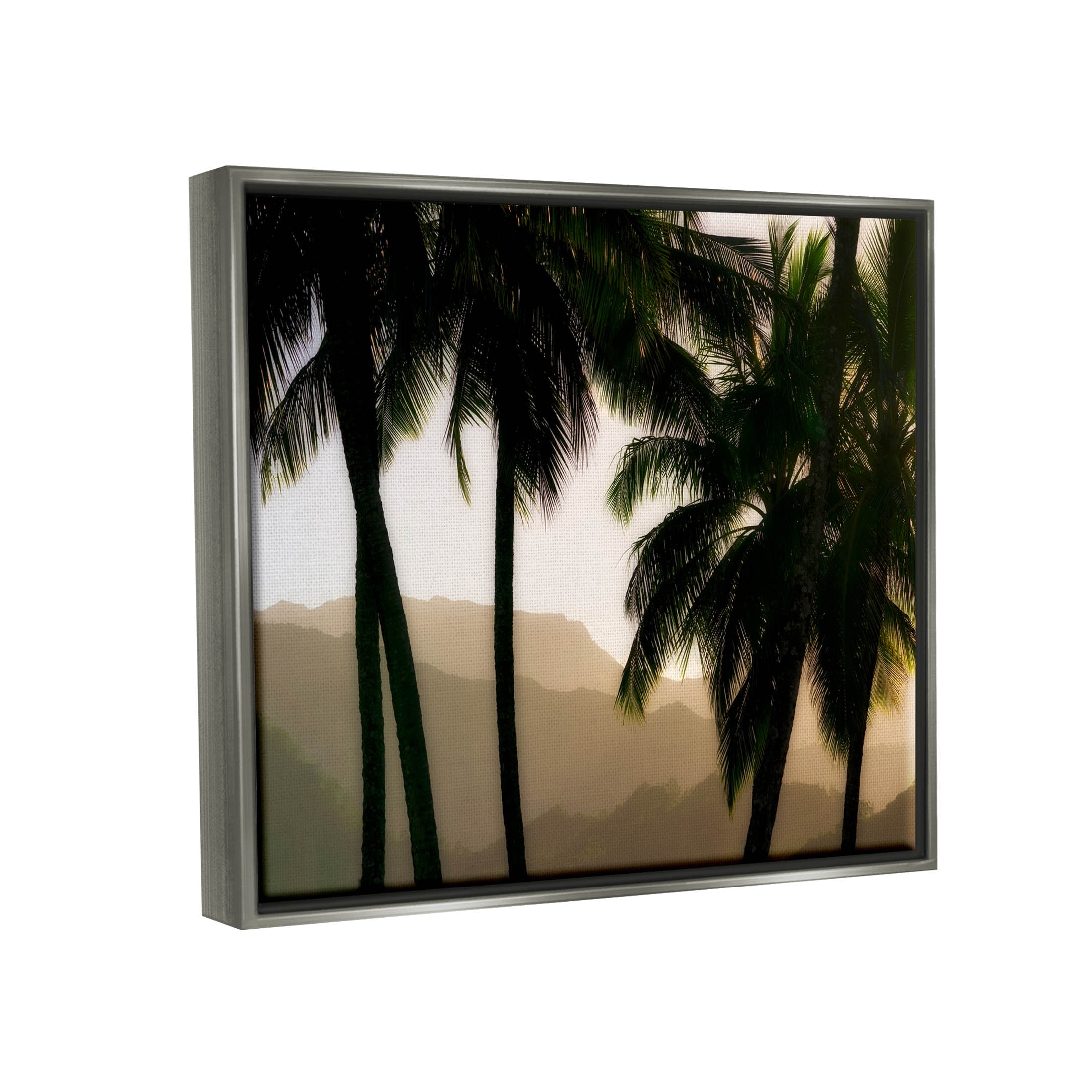Stupell Industries Sunlit Palm Trees Mountain Peaks Photograph Luster Gray Floating Framed Canvas Print Wall Art, Design by Dennis Frates