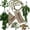 Group Gn, variant on Terrarium Habitat Decor Group En for Reptile Pet Habitats