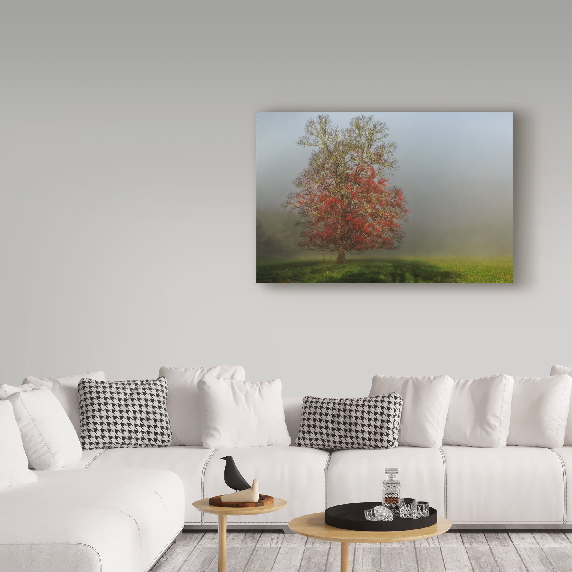 Trademark Fine Art 'Cades Cove Tree' Canvas Art by Galloimages Online