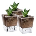 thumbnail image 3 of Juego de Macetas con Autorriego, Paquete de 6 Macetas con Autorriego de 5 Pulgadas para Plantas de Interior, Maceta Transparente con Profundidad para Plantas Araña, 3 of 5