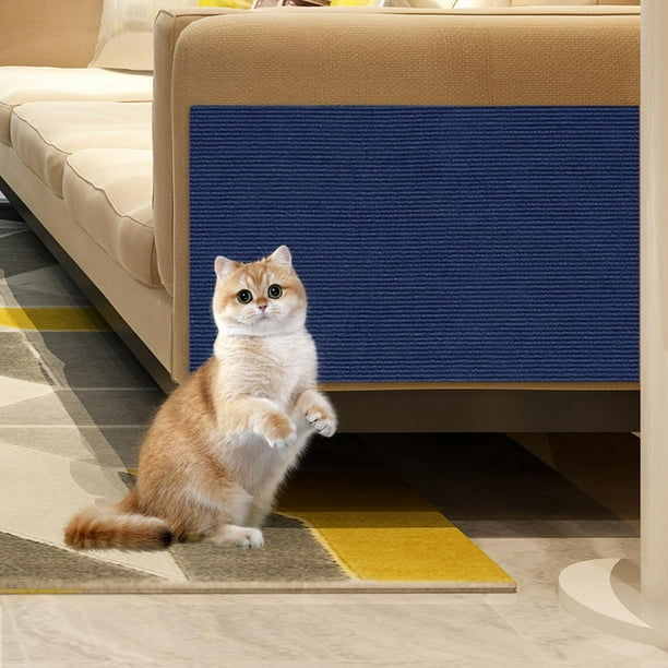 Blue cat protector online