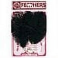thumbnail image 2 of Ostrich Feathers 2/Pkg-Black, Pk 6, Zucker, 2 of 2