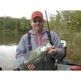 thumbnail image 4 of Mr Crappie Thunder 1.75'', 4 of 7