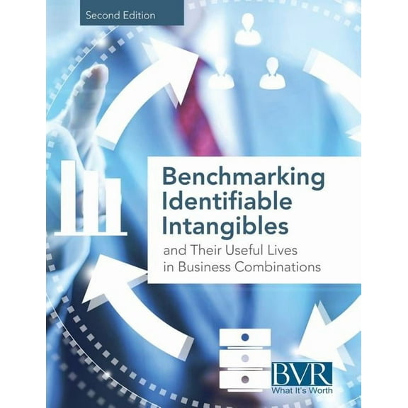 Benchmarking Identifiable Intangibles and Their Useful Lives in Business Combinations, Second Edition (Edition 2) (Paperback)