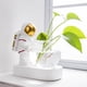 thumbnail image 4 of Jarrón Jarrón de cristal Jardinera Terrarios Jarrones Estatuil Base Jarrón de pntas Jarrones de cristal para decoración Jarró dorado Baoblaze florero hidropónico, 4 of 6