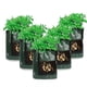 thumbnail image 5 of Bolsa de Plantació de Bolsas PE de planta respirable para el medio ambiente., 5 of 8