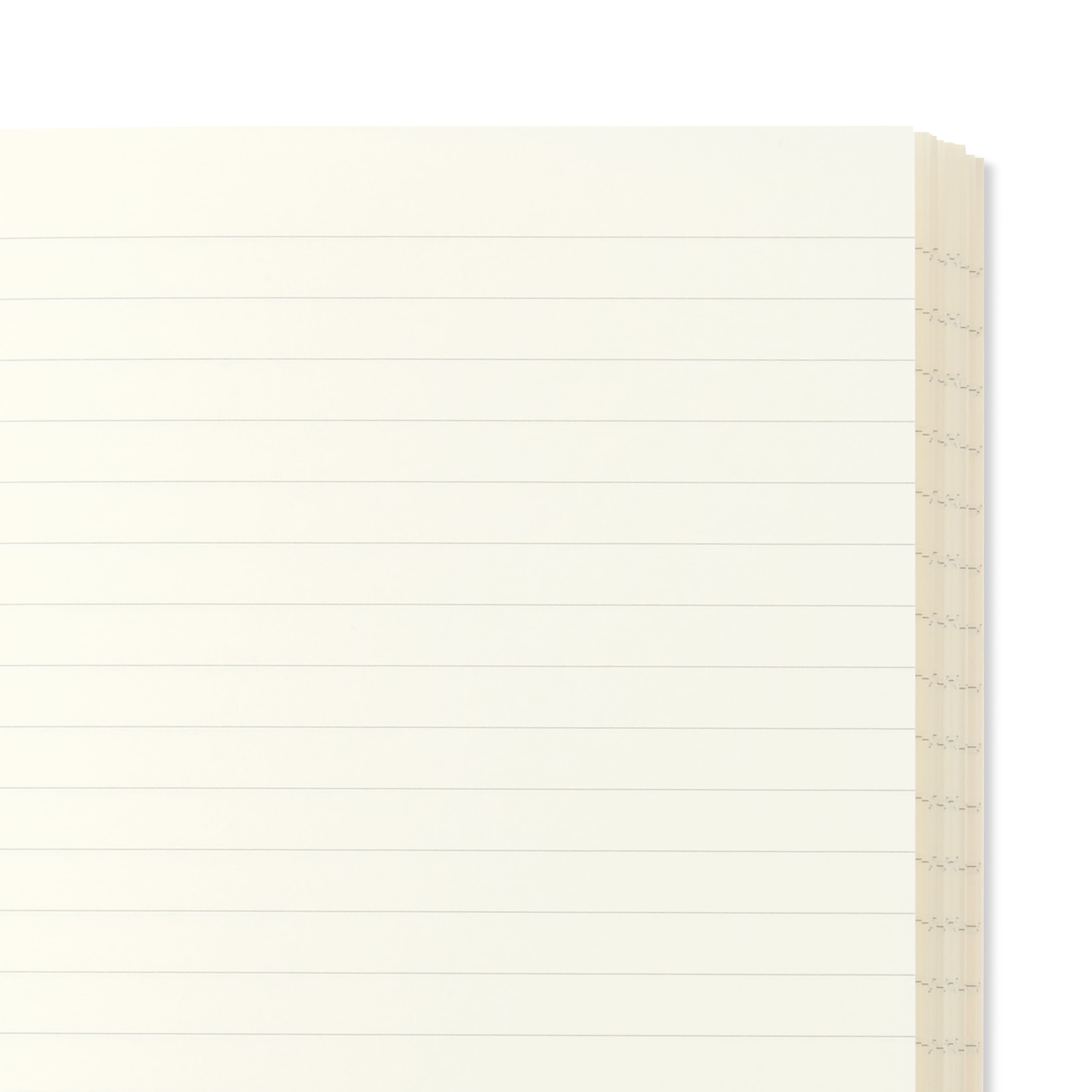 Pen+Gear Poly Notebooks, Black & White, 5.75 in x 4.2 in, 80 Ruled Pages Each, 2 Count