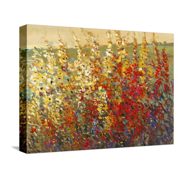 Art.com Field of Spring Flowers I Stretched Canvas Print Wall Art by Tim OToole, 16" x 12"