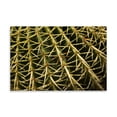 thumbnail image 2 of Gango Home Decor Cactus Detail II by Erin Berzel (Printed on Paper); One 36x24in Fine Art Paper Giclee Print, 2 of 4
