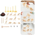 thumbnail image 4 of MasteelfCA 24Pcs Dinosaurs Skeletons Models Children's Archaeological Toys Teaching Models, 4 of 7