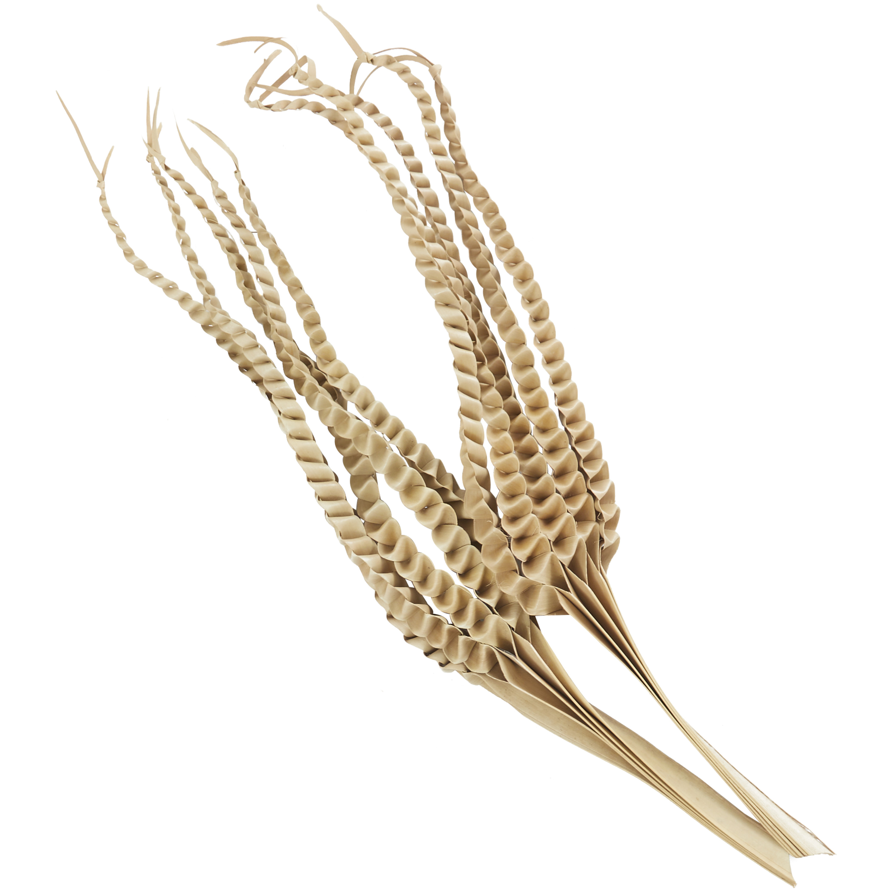 32" Handmade Tall Five Finger Dried Plant Natural Foliage Palm Leaf Bouquet, by DecMode