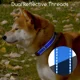 thumbnail image 5 of Collar Para Perros Nobleza Reflectante Ajustable Para Perros, 5 of 8