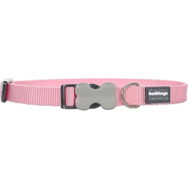 Red Dingo DC-ZZ-PK-SM Collier pour Chien Rose Classique, Petit