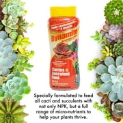 Dynamite Sun Bulb Cactus & Succulent Plant Food, 18-6-8 Fertilizer, 1 lb.