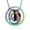 Colorful, variant on Forever in My Heart,No Longer by My Side Pet Cremation Jewelry for Ashes of Dog/Cat Funeral Keepsake Urn Necklace Paw Print Memorial Necklace