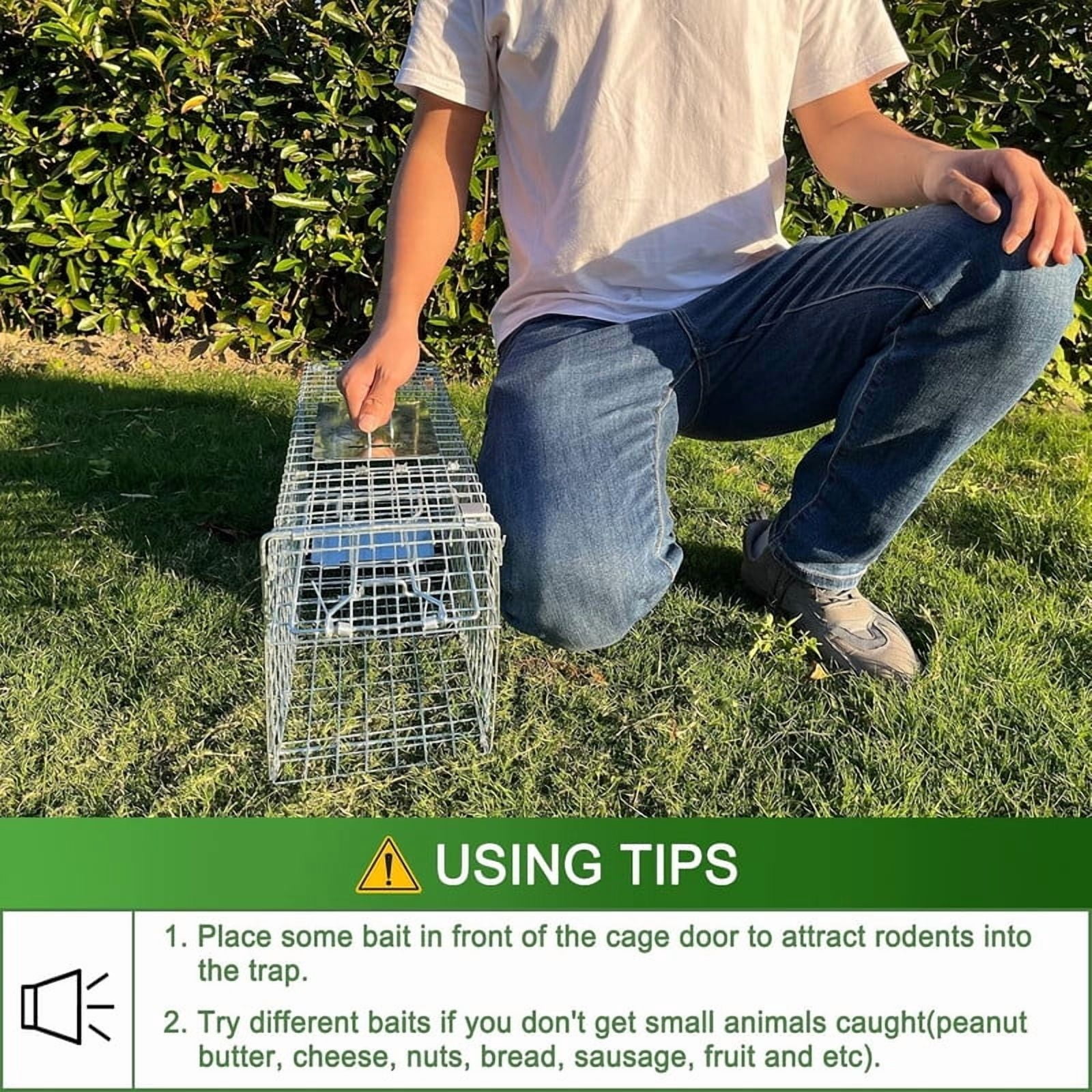 Live Animal Cage Traps,24in Rabbit Trap,Humane Way Folding Raccoon Traps for Stray Cats,Squirrels,Live Traps for Raccoons,Steel Foldable with Pedal Triggers