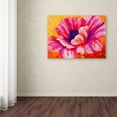 thumbnail image 3 of Trademark Fine Art 'Pink Poppy' Canvas Art by Marion Rose, 3 of 3
