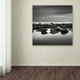 thumbnail image 4 of Trademark Fine Art "High Tide" Canvas Art by Dave MacVicar, 4 of 4