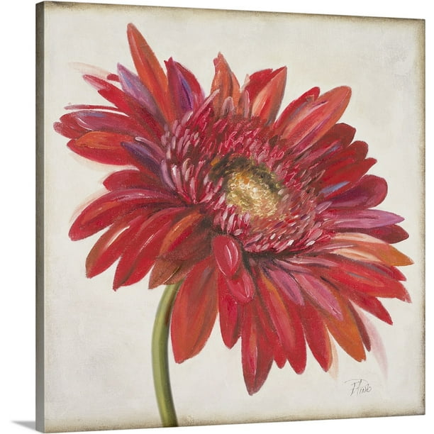 Great Big Canvas Red Gerbera Daisy Wall Art 20x20 Com - Gerbera Daisy Canvas Wall Art Great Big Canvas Red Gerbera Daisy Wall Art 20x20 Com - Gerbera Daisy Canvas Wall Art