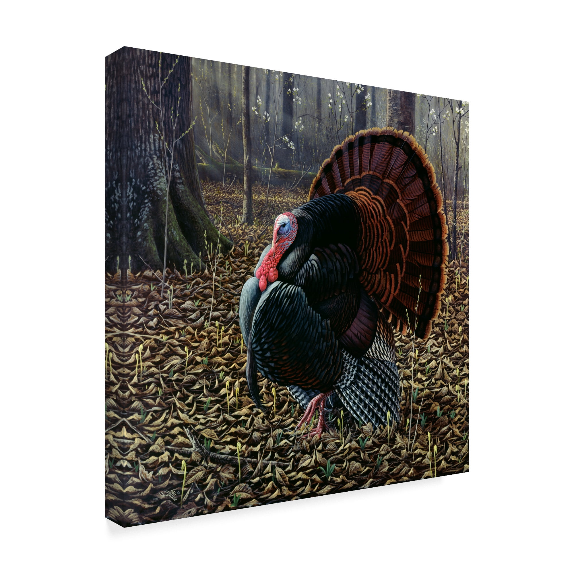 Trademark Fine Art 'The King Of Spring Wild Turkey' Canvas Art by Wilhelm Goebel