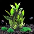 thumbnail image 4 of Acuario, decoración de pecera, conjunto de árbol de plantas de acuario, decoración de pecera, 4 of 5