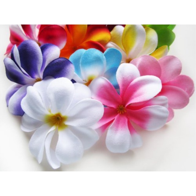 100 Assorted Hawaiian Plumeria Frangipani Silk Flower Heads 3 Artificial Flowers Head Fabric Floral Supplies Wholesale Lot For Wedding Flowers Accessories Make Bridal Hair Clips Headbands Dress Walmart Com Walmart Com