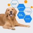 thumbnail image 4 of Cortaúñas para Perros, Minicortaúñas Eléctrico de Precisión Recargable, Herramienta para Alisar y Cuidar las Patas de las Mascotas, 4 of 5