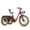 Red, variant on MAXFOOT MF30 Electric Tricycle for Adults, 750W Rear Drive Motor 3 Wheel Electric Bicycle with Suspension Fork, 85 Miles, 48V 20Ah UL Certified Battery, Fat Tire Electric Trike with Rear Differential