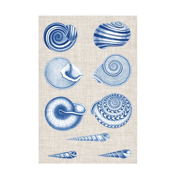 Vision Studio 'Navy And Linen Shells V' Canvas Art