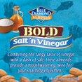 thumbnail image 3 of Pack of 2 - Blue Diamond Almonds, Bold Salt N Vinegar, 6 Ounce Packaging May Vary, 3 of 3