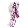 thumbnail image 1 of Lifelike Plastic Plant, Hanging Leaves Decoration with Suction Cup for Reptiles Terrarium Fish , Create Vibrant and Colorful Habitats, Suitable for Most Reptiles., 1 of 7